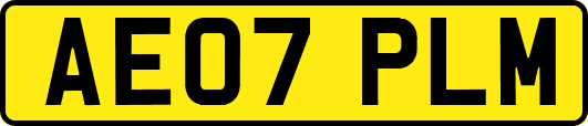 AE07PLM