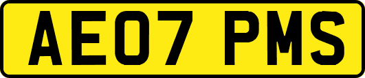 AE07PMS