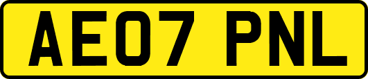 AE07PNL