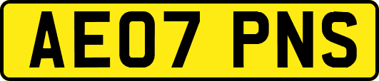 AE07PNS