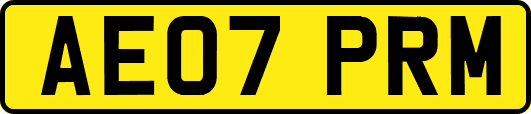 AE07PRM