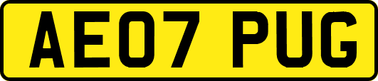 AE07PUG
