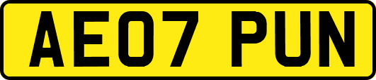 AE07PUN