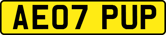 AE07PUP