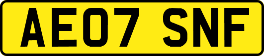 AE07SNF