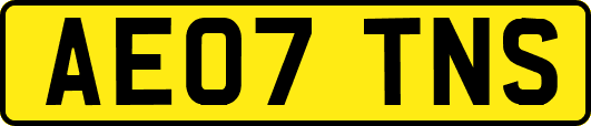 AE07TNS