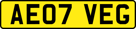 AE07VEG