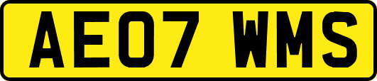 AE07WMS