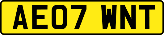 AE07WNT
