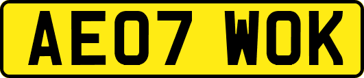 AE07WOK