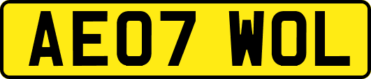 AE07WOL