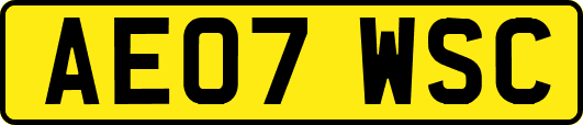 AE07WSC