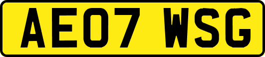AE07WSG