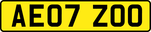 AE07ZOO