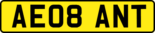 AE08ANT