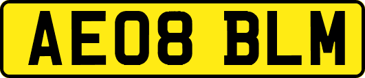 AE08BLM
