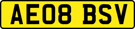 AE08BSV