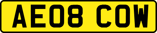 AE08COW