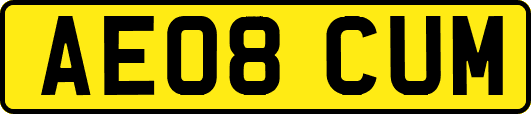 AE08CUM