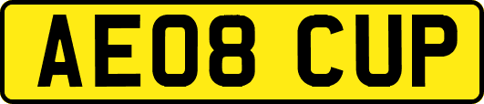 AE08CUP