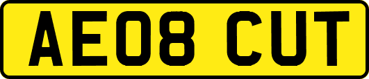AE08CUT