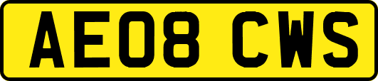 AE08CWS
