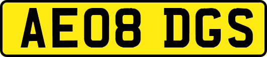 AE08DGS