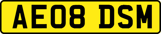 AE08DSM