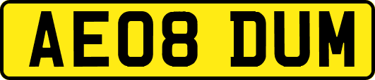 AE08DUM