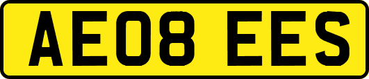 AE08EES