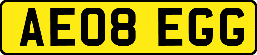 AE08EGG