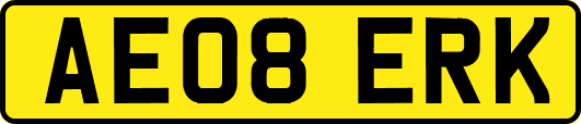 AE08ERK