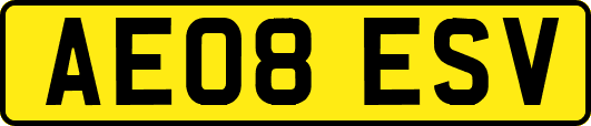 AE08ESV