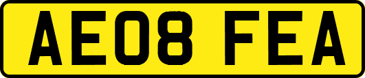AE08FEA