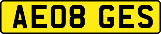 AE08GES