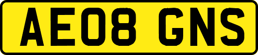 AE08GNS
