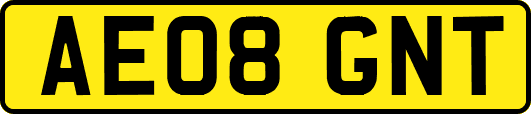 AE08GNT