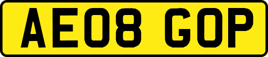 AE08GOP