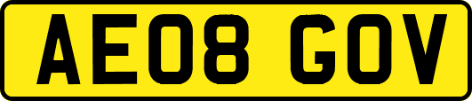 AE08GOV