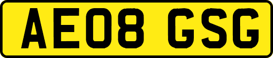 AE08GSG