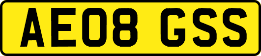 AE08GSS