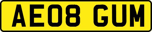 AE08GUM
