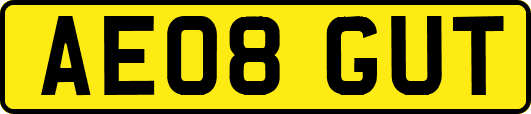 AE08GUT