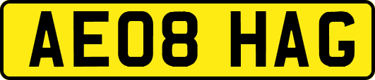 AE08HAG