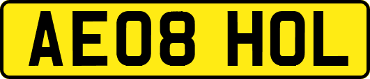 AE08HOL