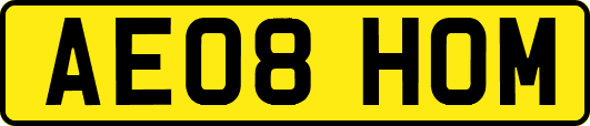 AE08HOM