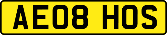 AE08HOS