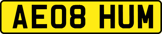 AE08HUM