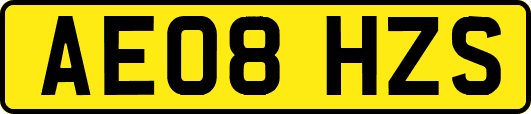 AE08HZS