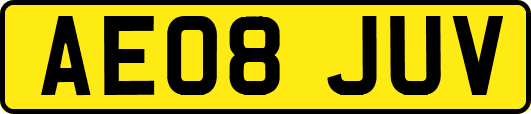 AE08JUV